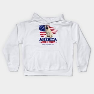 Pug Flag USA - America 4th Of July Independence Day Kids Hoodie